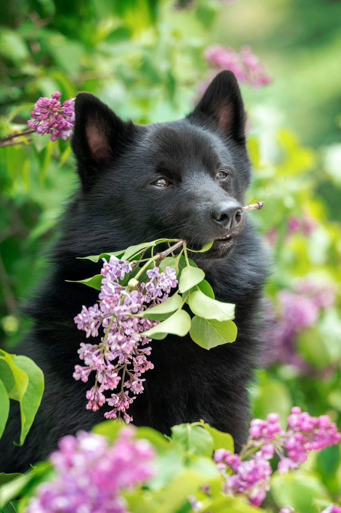 Photograph by Veronika Zatorkina