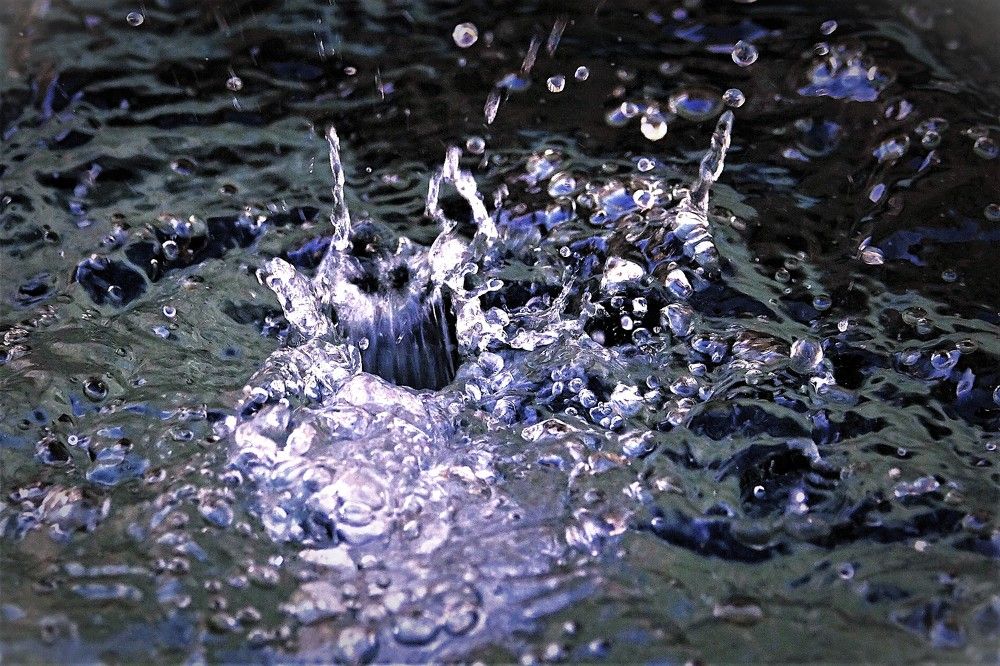 Photograph by jelena konickaja