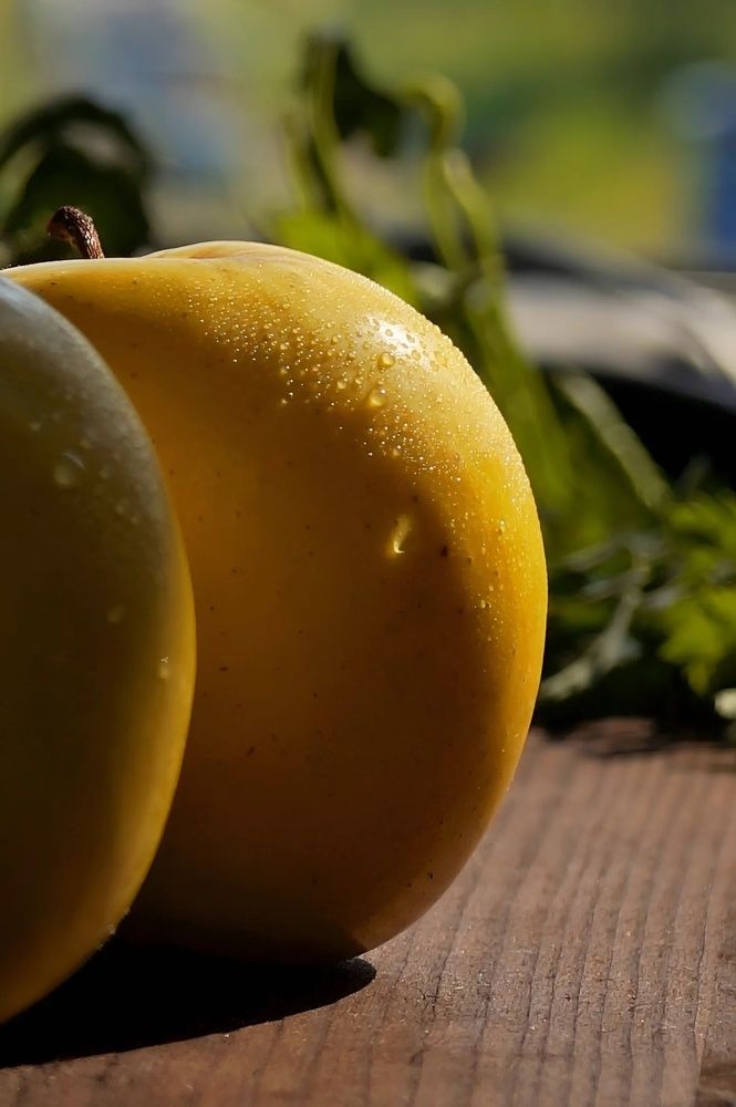 Photograph by Светлана Гришакова