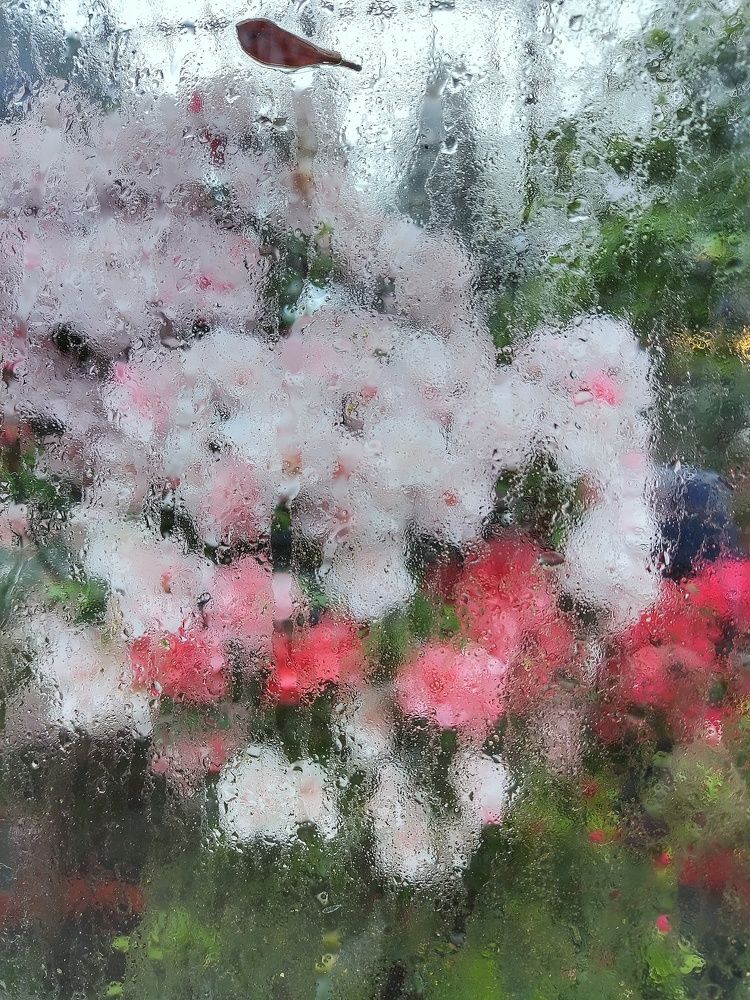 Photograph by Наталия Романова