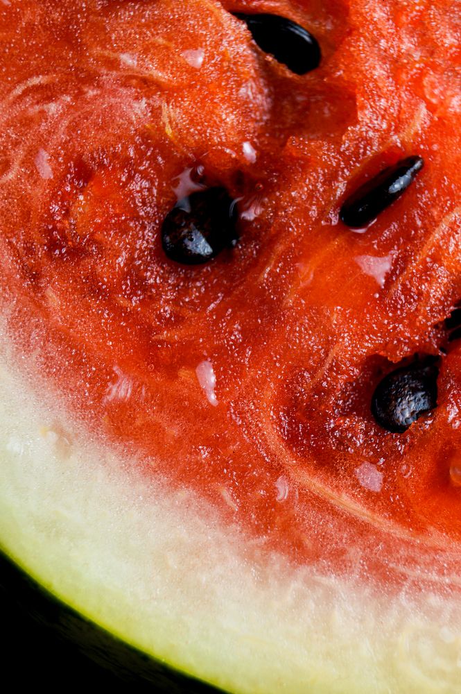 Photograph by Светлана Гришакова