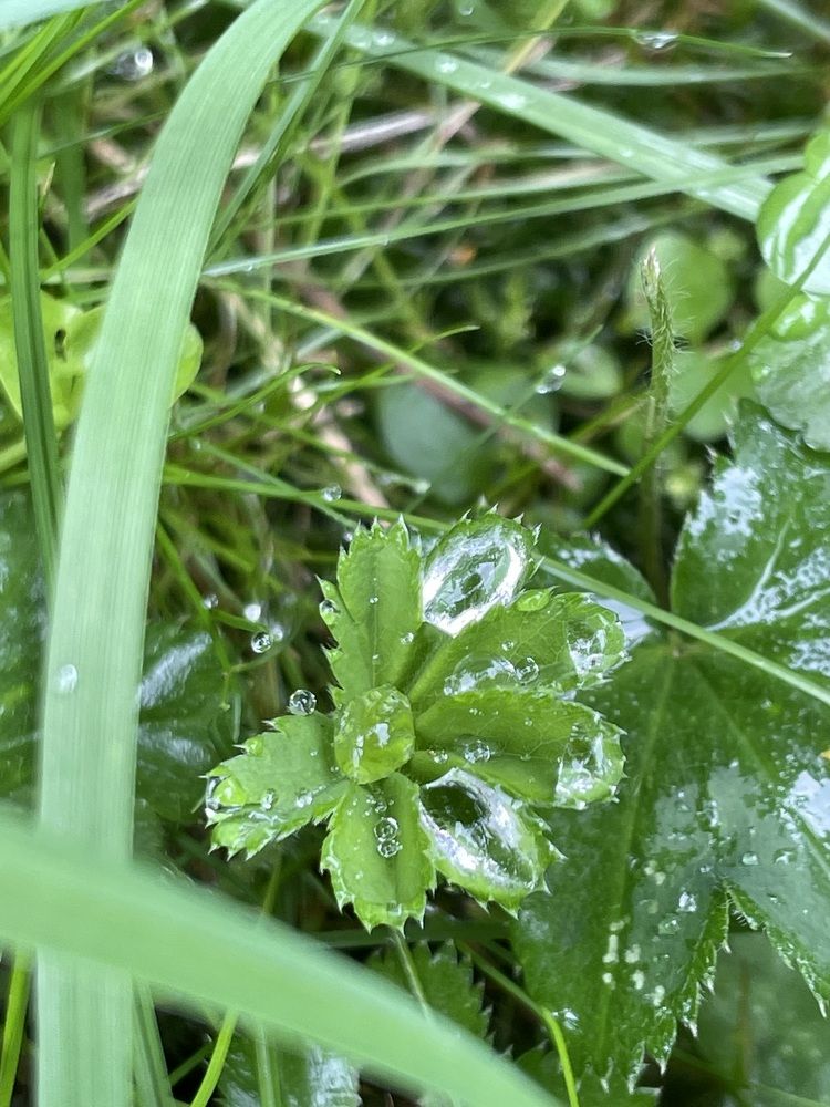 Photograph by Марина Мирошниченко