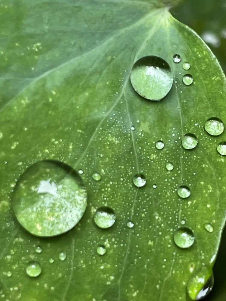 Photograph by Марина Мирошниченко