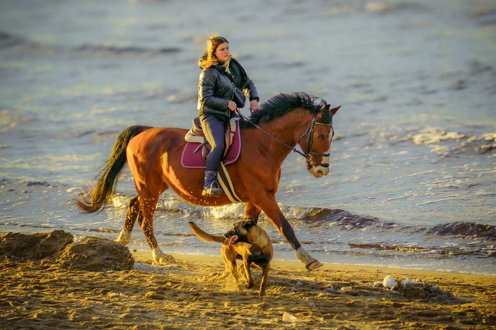 Photograph by Valdis Serzhans