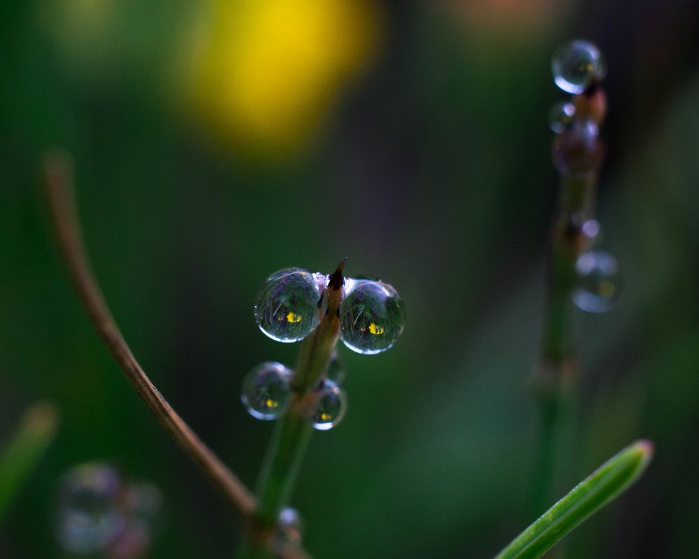 Photograph by Людмила Прибылова