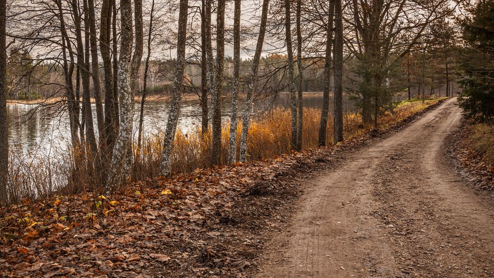 Photograph by Valdis Serzhans