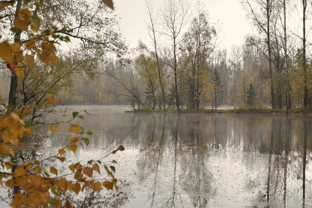 Photograph by Наталья Сорокина