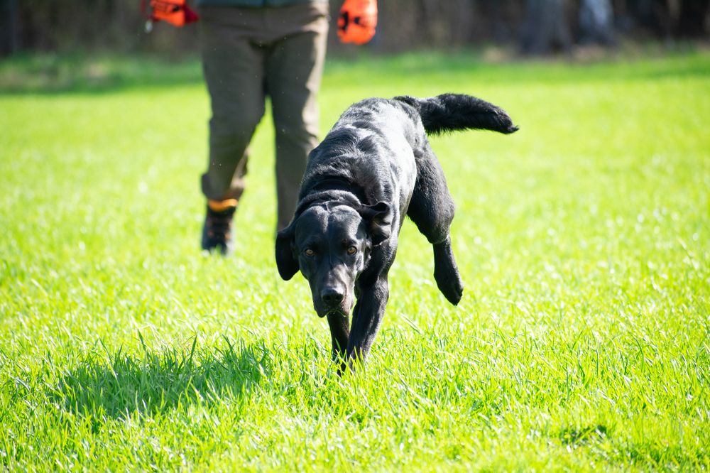 Фотография автора АНАСТАСИЯ ЛЕВИНА