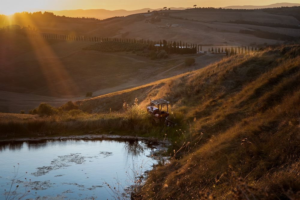 Photograph by Renee Johansson