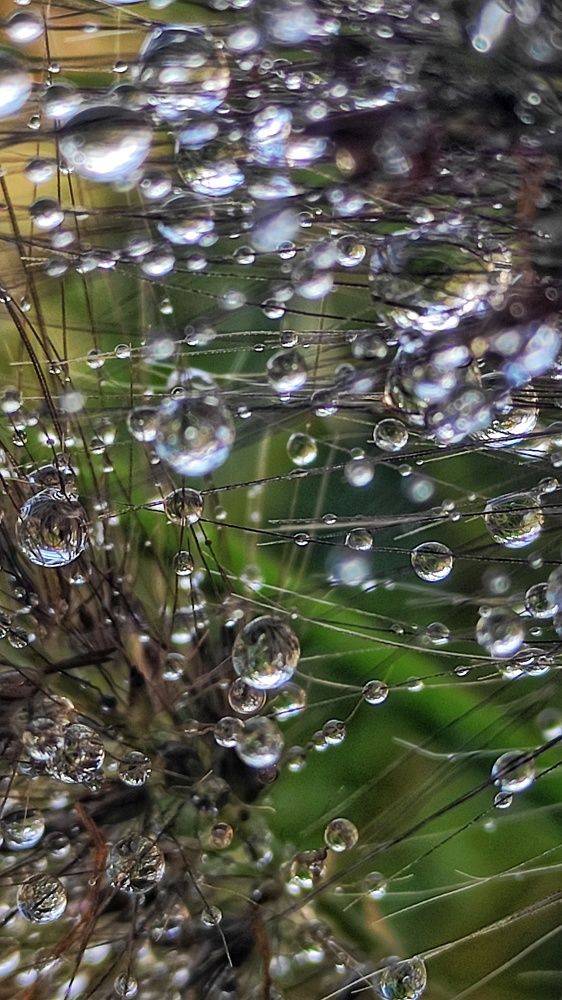 Photograph by Ирина Подосинникова