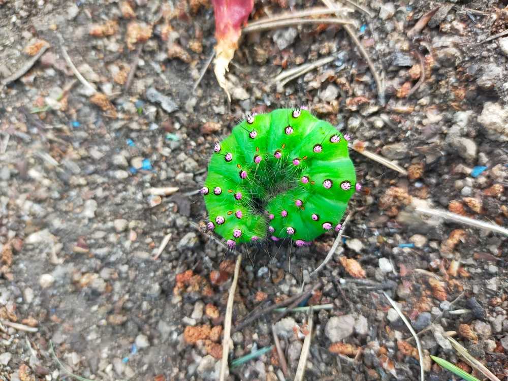 Photograph by Татьяна Герасименко