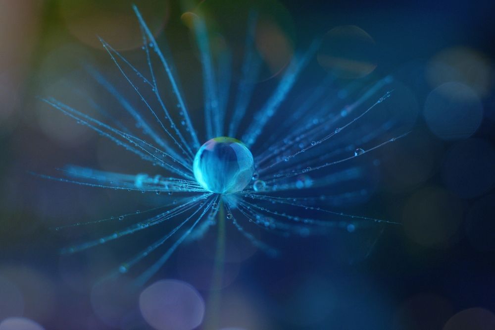 Photograph by Magic Helios