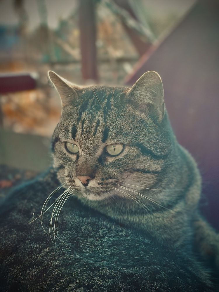 Photograph by Inna Belinskaya