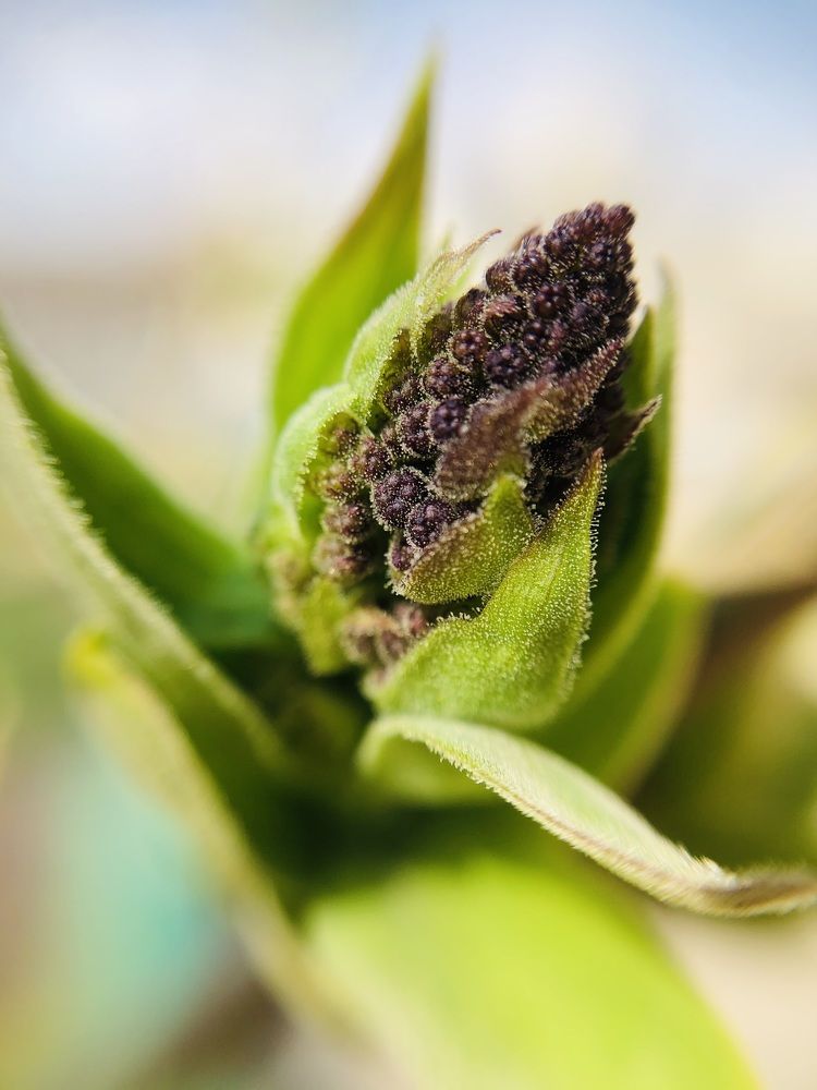 Photograph by Inna Belinskaya