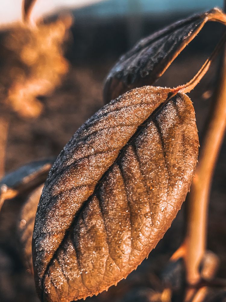 Photograph by Inna Belinskaya