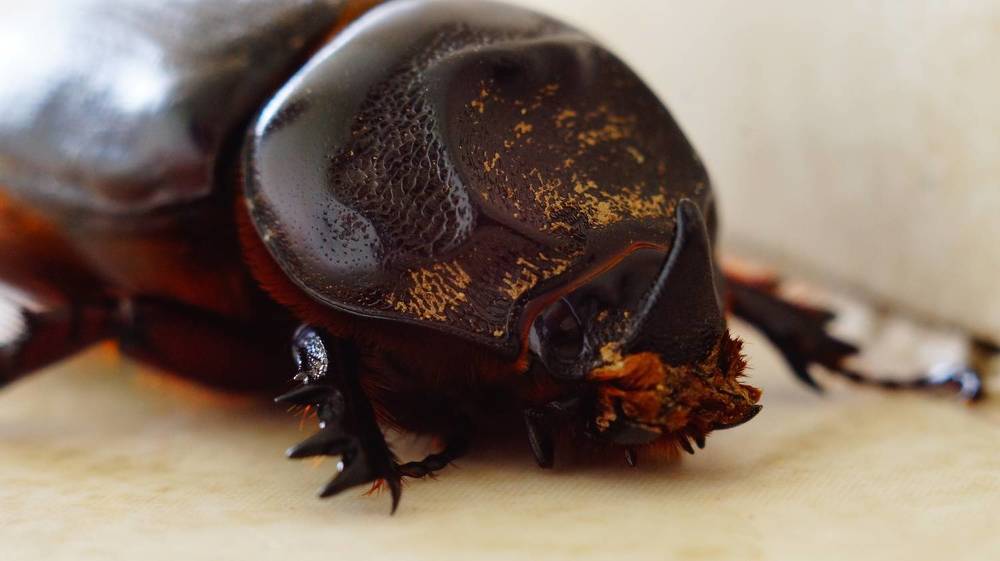 Photograph by Лиза Малыгина