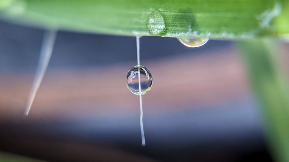 Photograph by Vijayakumar