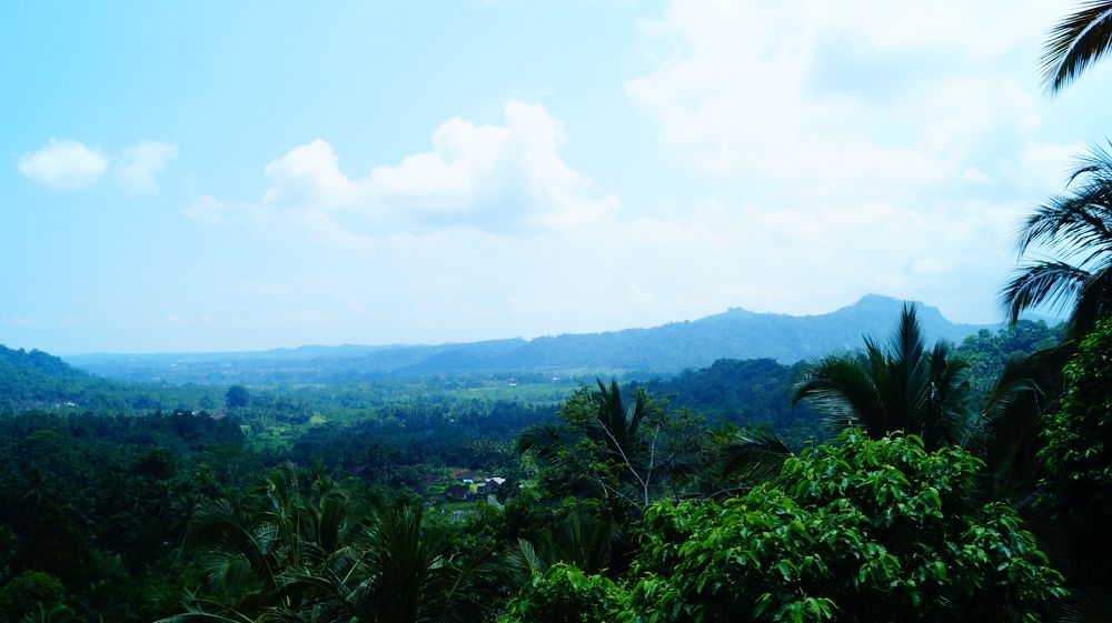 Photograph by Лиза Малыгина