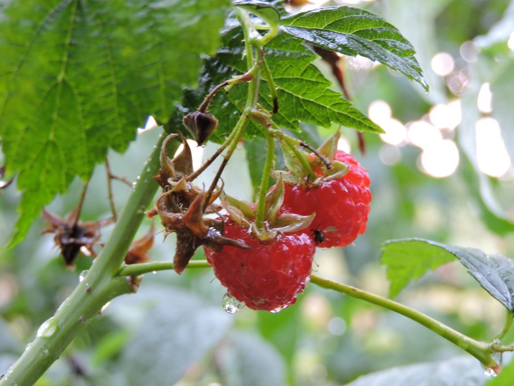 Photograph by Tatiana