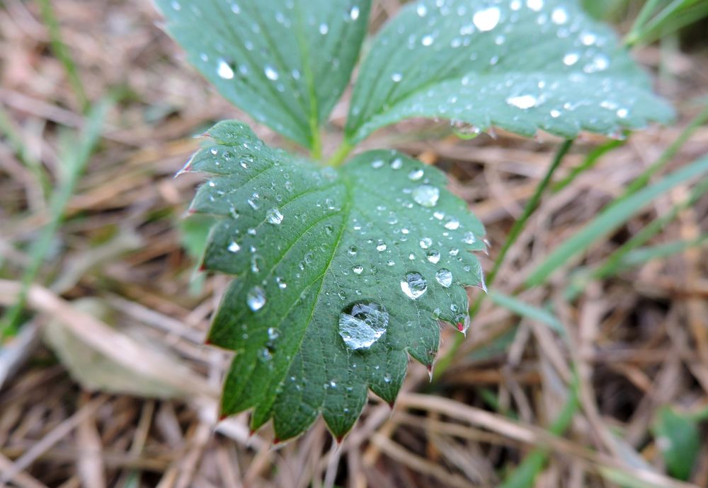 Photograph by Tatiana