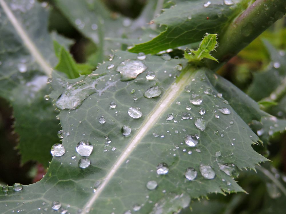 Photograph by Tatiana