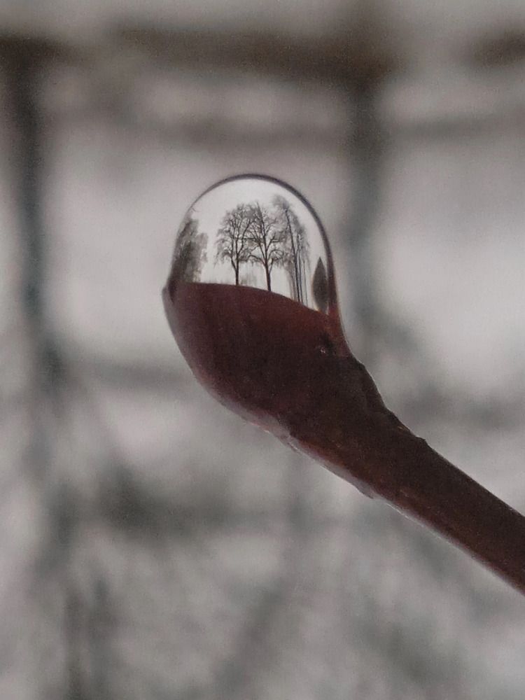 Photograph by Юрий Яковлев