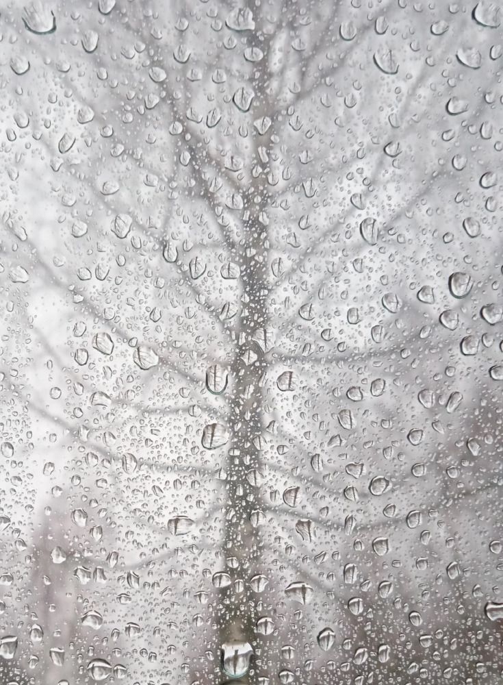 Photograph by Юрий Яковлев