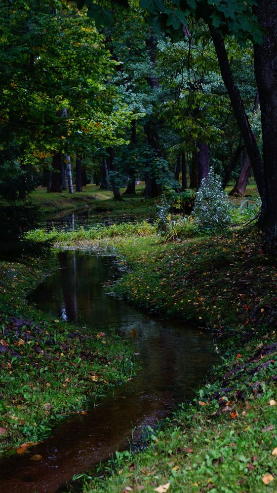 Photograph by Лиза Малыгина