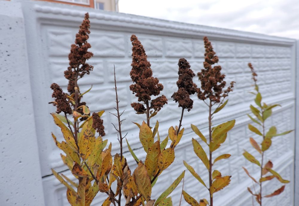 Photograph by Tatiana