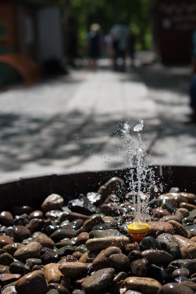 Photograph by Наталья Сорокина