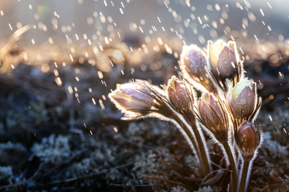 Photograph by Корчагина Оксана