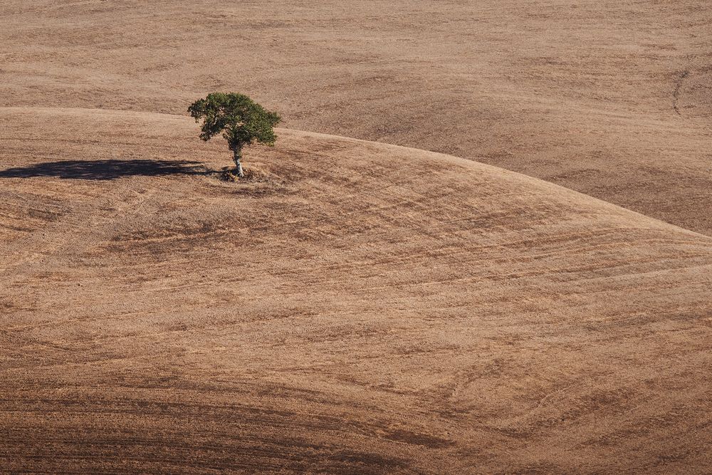 Photograph by Renee Johansson