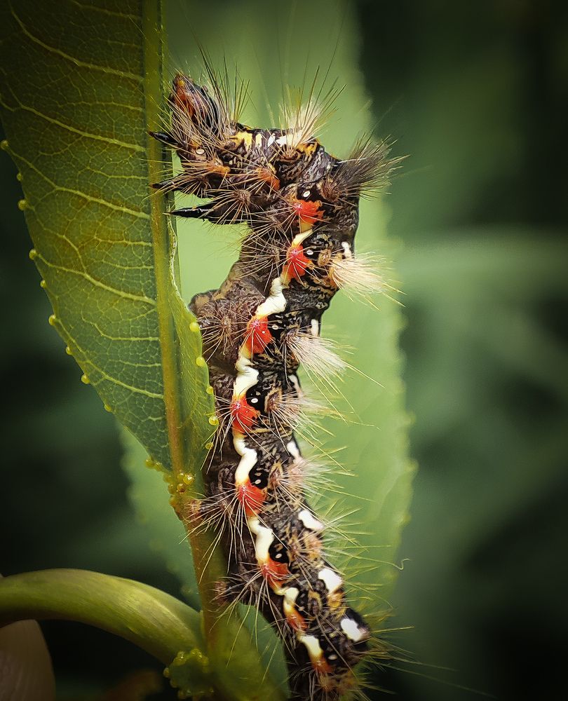 Photograph by Дмитрий Фетисов