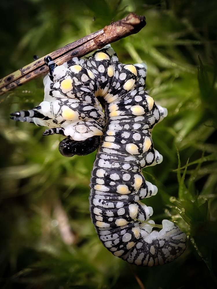 Photograph by Дмитрий Фетисов