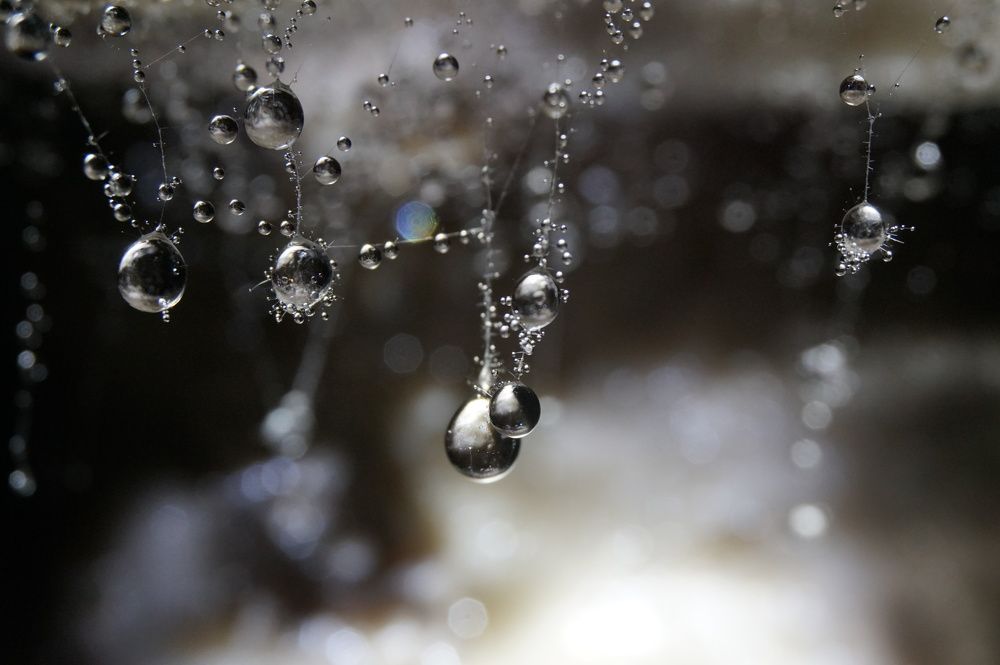 Photograph by Лена Максимкина