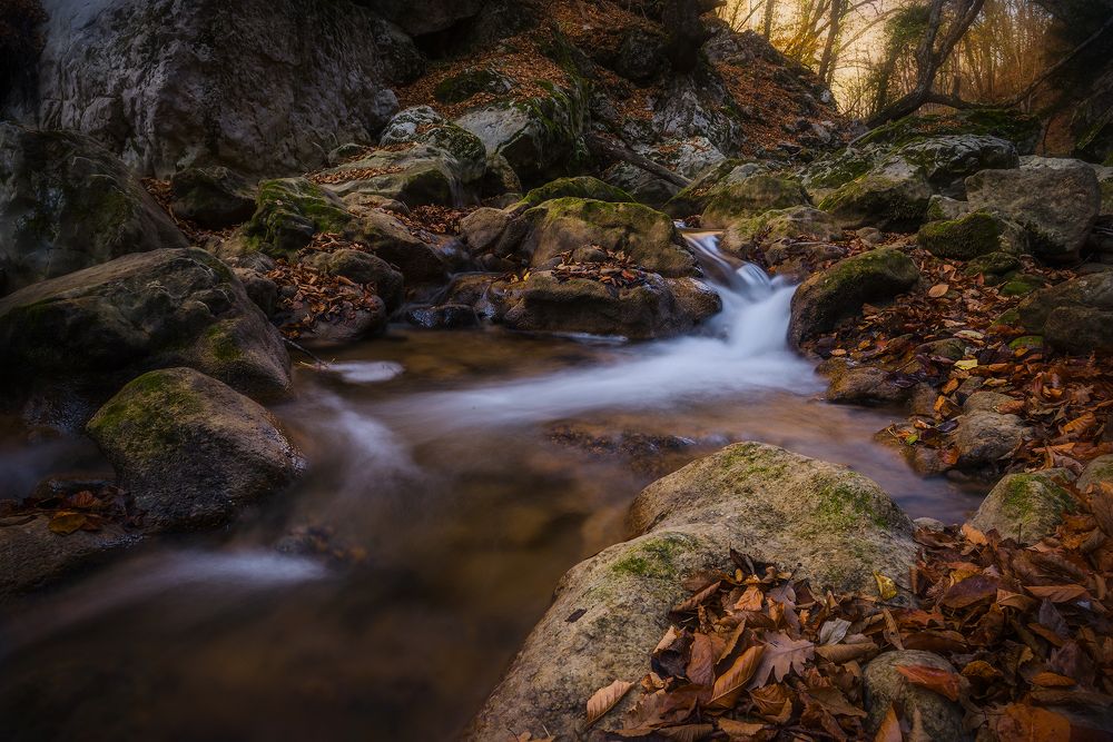 Photograph by Владимир Яковлев