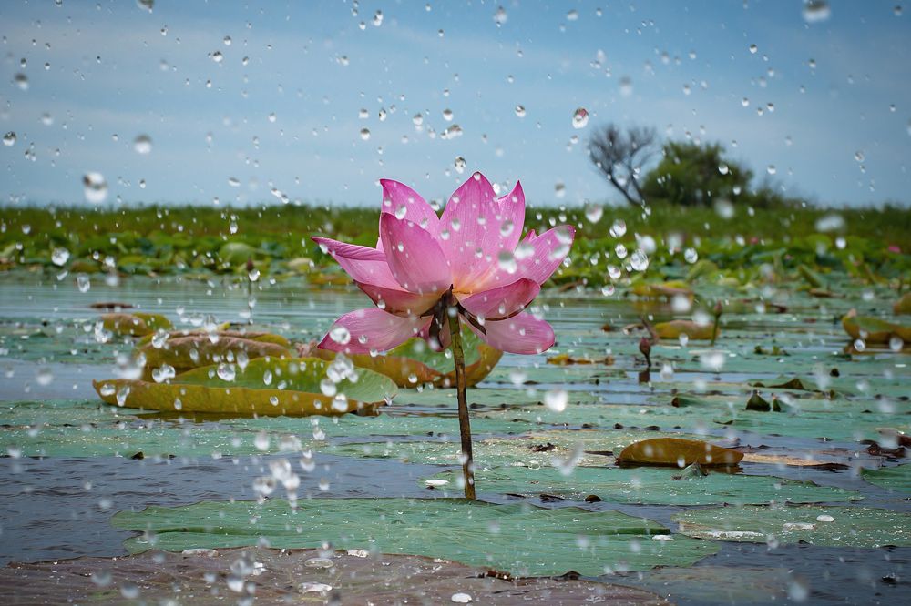 Photograph by Ольга Мусиенко