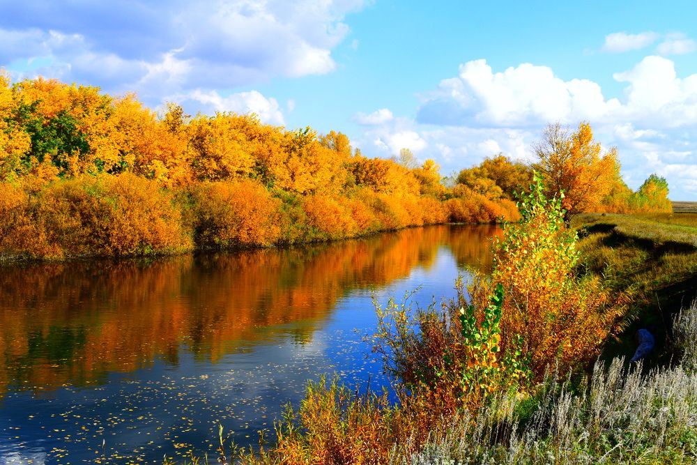 Photograph by Екатерина Скоропадова