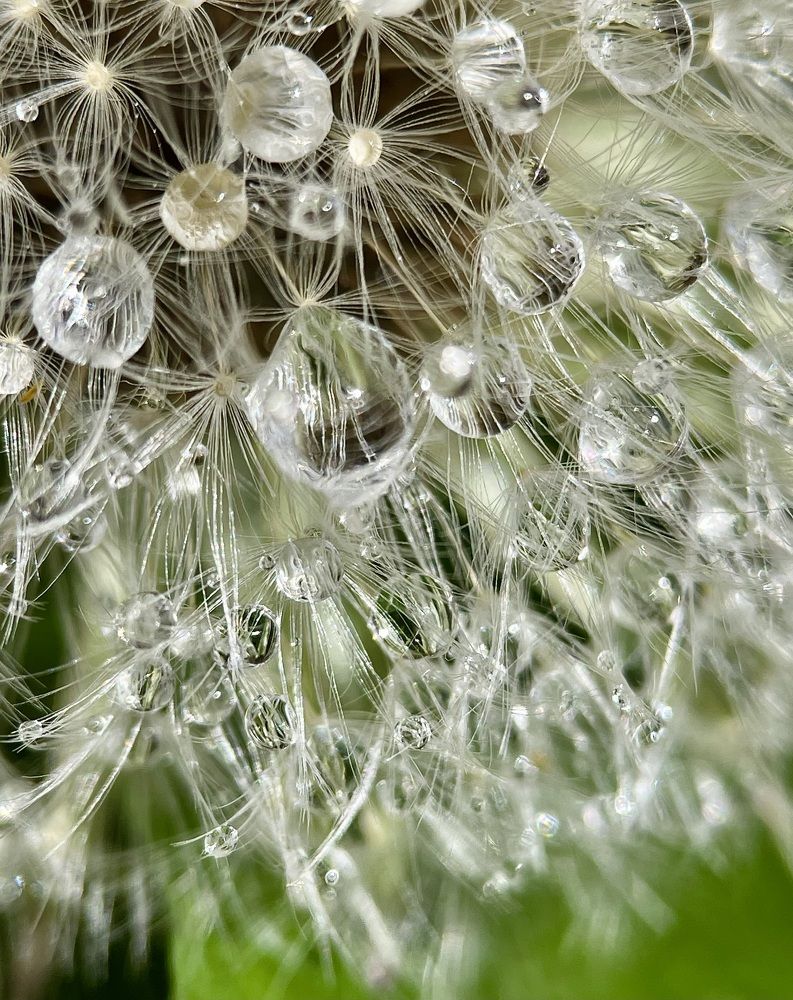 Photograph by Рамзия Хисамутдинова