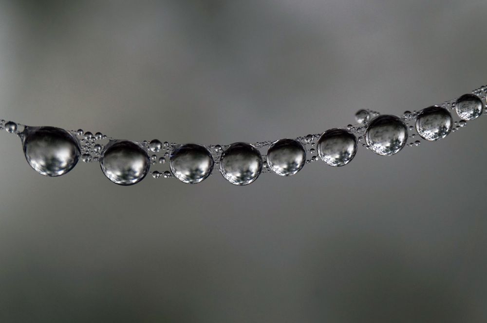 Photograph by Лена Максимкина