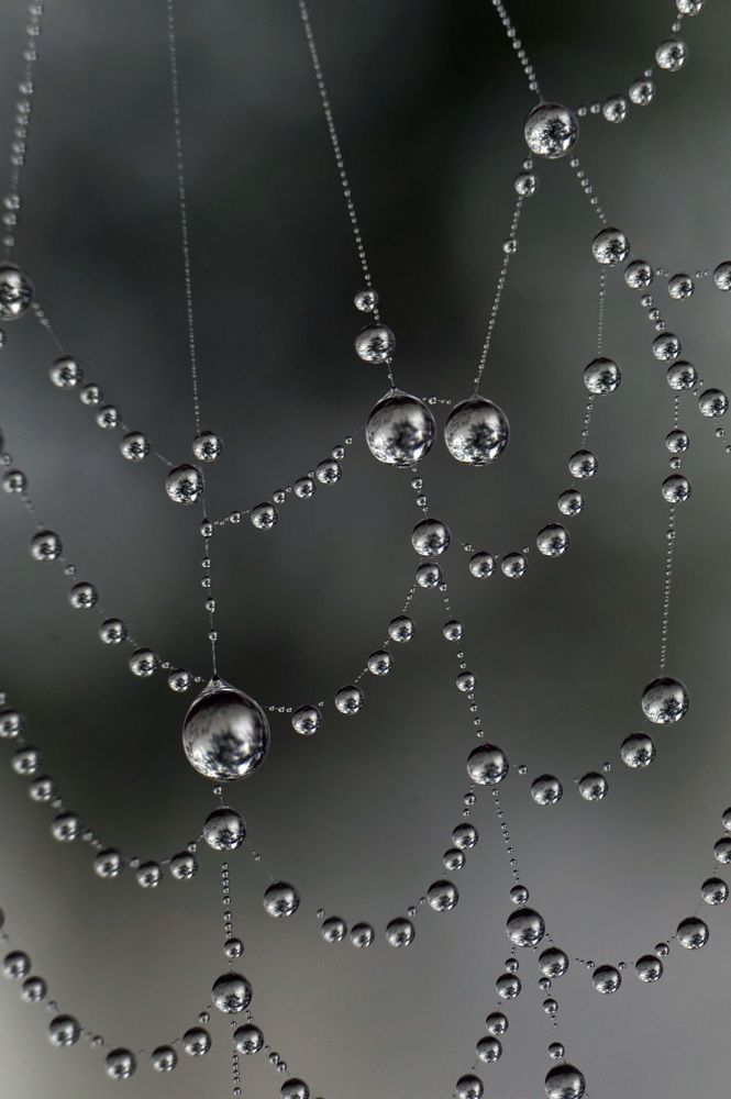 Photograph by Лена Максимкина