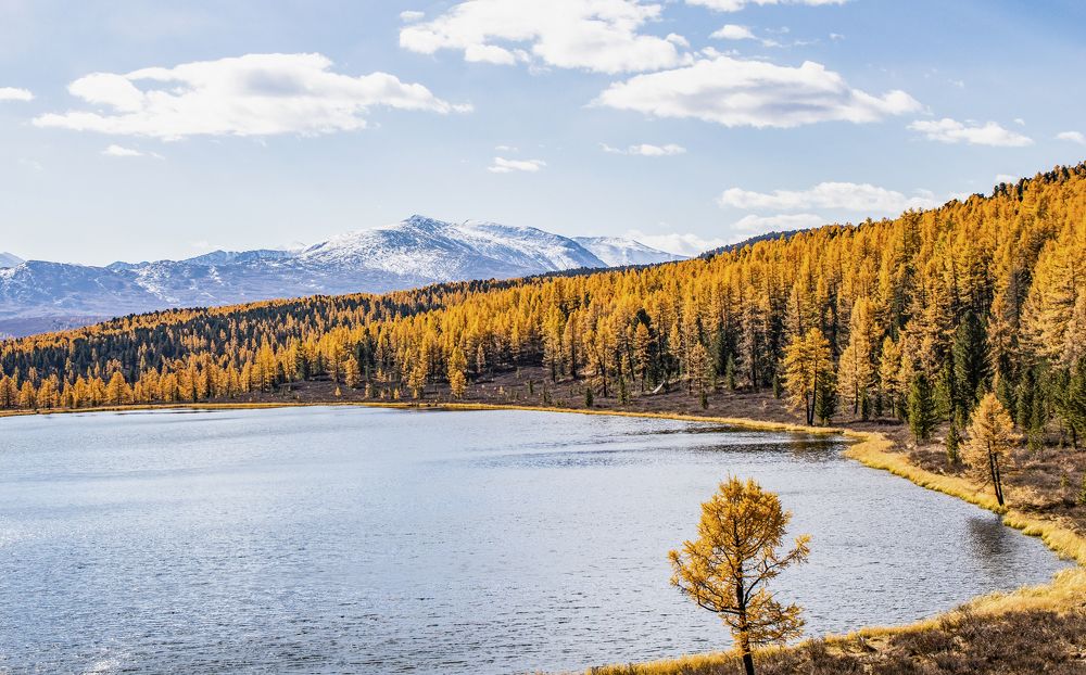 Осень на Киделю