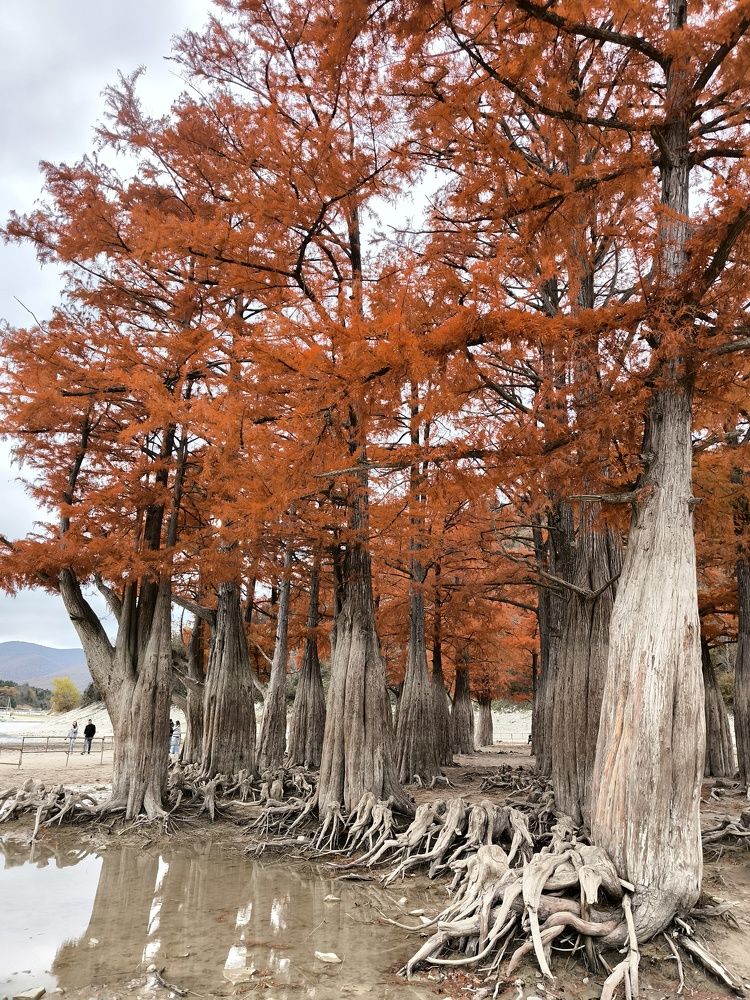 Фотография автора Юлия Лубкина
