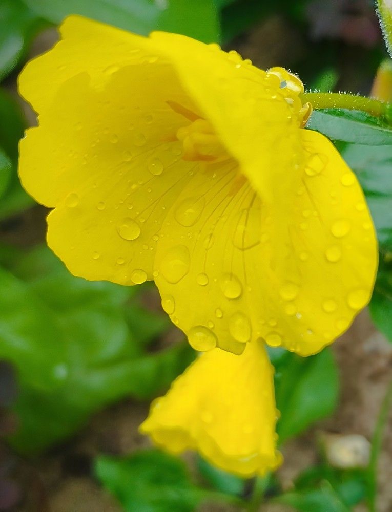 Photograph by София Бояринцева