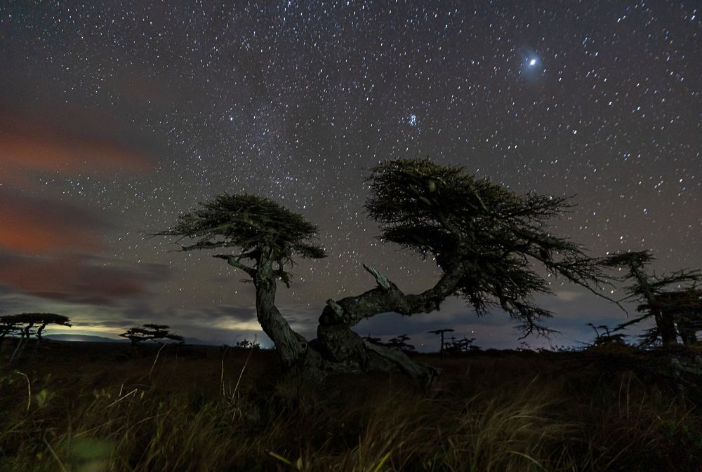 Photograph by Ольга Ченцова