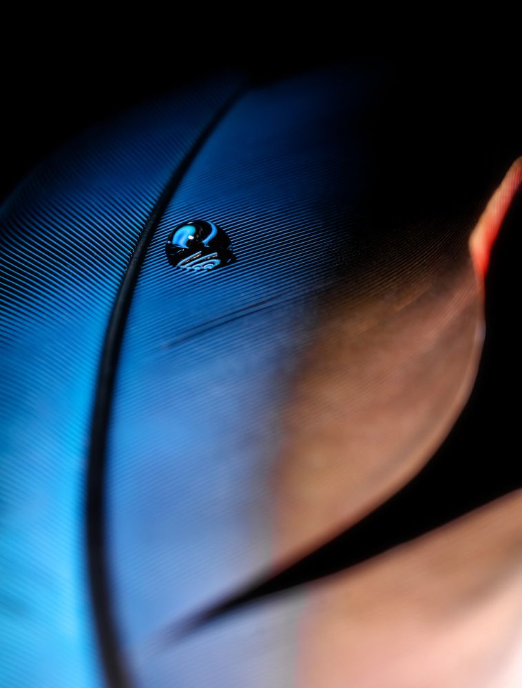 Фотография автора Константин Яковлев