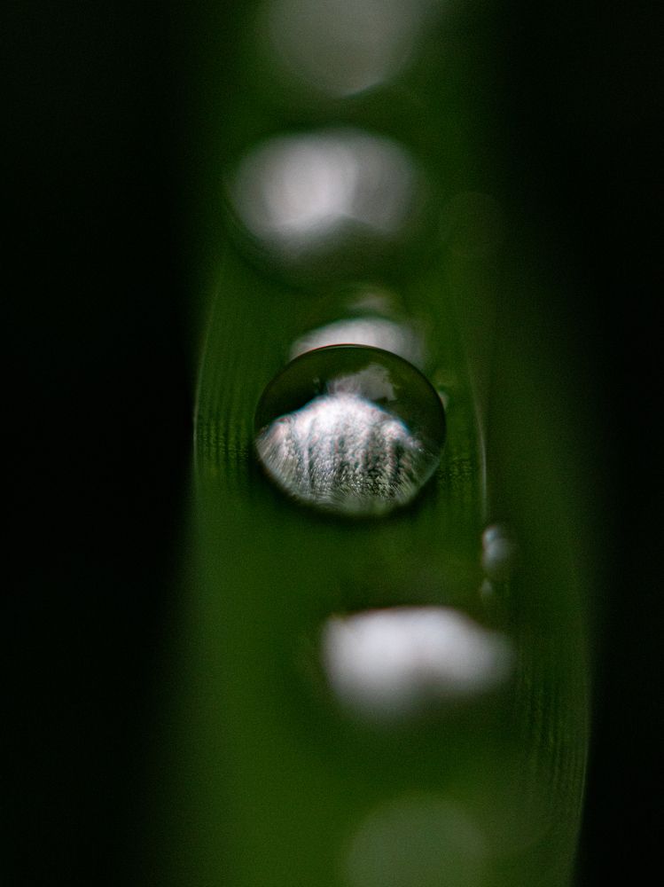 Photograph by Дмитрий Давидов