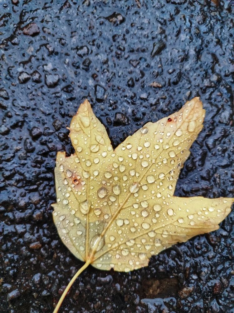 Photograph by Анна Напримерова