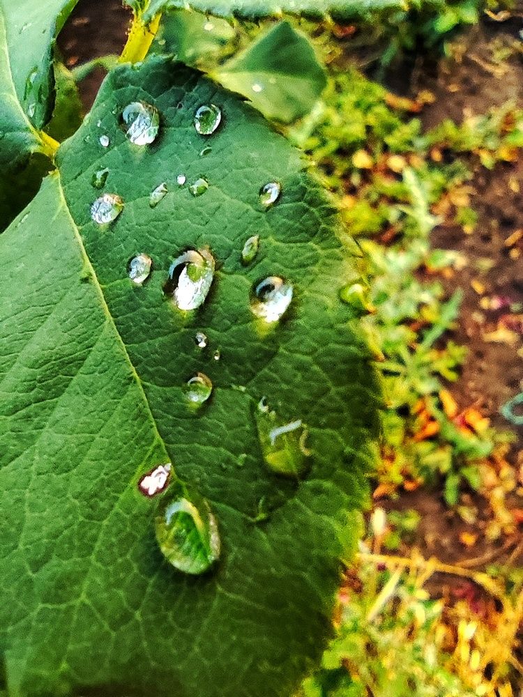 Photograph by Анна Напримерова