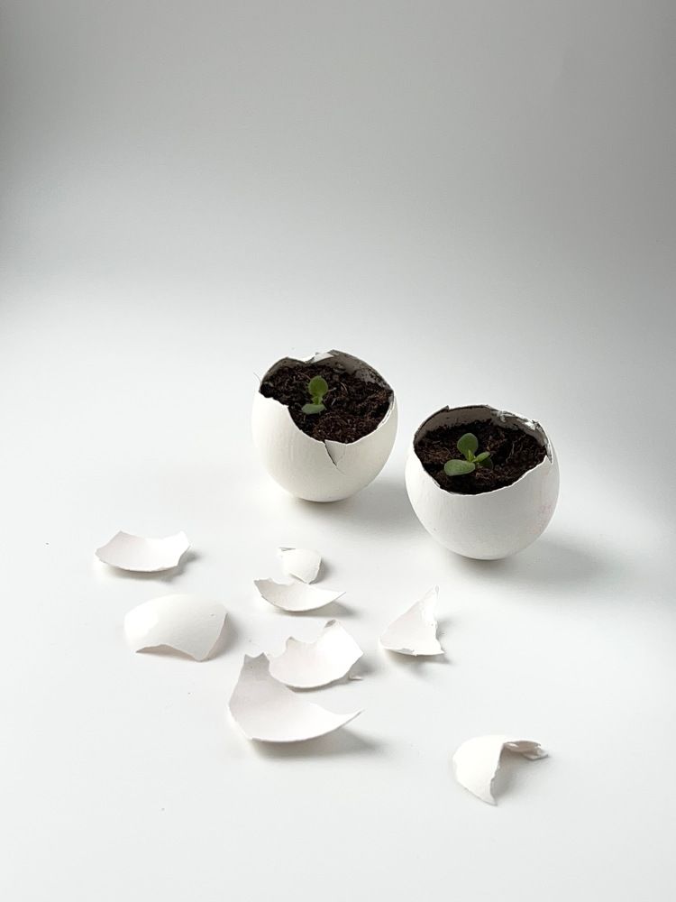 Новое из старого